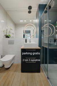 łazienka z umywalką, toaletą i lustrem w obiekcie Apartamenty MM - Rzeźniczaka w Zielonej Górze