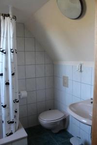 a small bathroom with a toilet and a sink at Müritzbrise in Sietow
