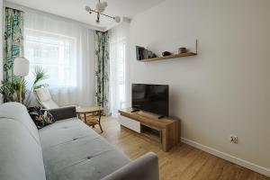 salon z kanapą i telewizorem z płaskim ekranem w obiekcie Apartamenty MM - Rzeźniczaka w Zielonej Górze