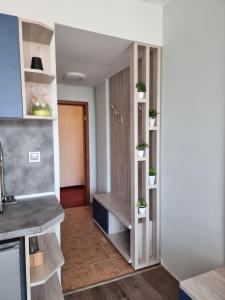 Kuchyň nebo kuchyňský kout v ubytování Complex Astra