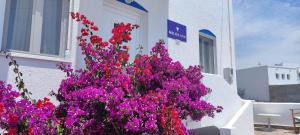 a bunch of pink flowers in front of a building at Milos Inn in Adamantas