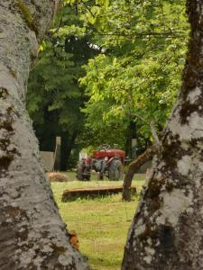 Ogród w obiekcie Domaine du Venet