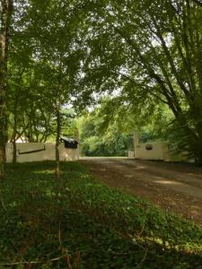 drzewo na środku drogi gruntowej w obiekcie Domaine du Venet w mieście Montcony