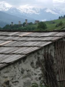 Paesaggio naturale nelle vicinanze dell'affittacamere