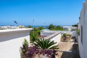 una vista dal balcone di una casa con piante viola di Case bianche del Capitolo a Monopoli