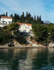 une maison sur une colline à côté de l'eau dans l'établissement Apartment Iva&Andro, à Koločep