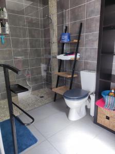 y baño con aseo y ducha. en Chambre et salle d'eau dans dépendance 20 m2, vélos, en Les Sables-dʼOlonne