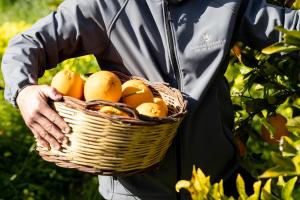 a man is holding a basket of fruit at Donna Carmela Resort & Lodges in Riposto
