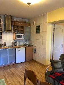 kuchnia i salon z kanapą w pokoju w obiekcie Butas Miško slėnis w mieście Juodkrantė