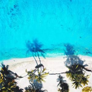 una vista submarina de una playa con árboles en el agua en Sunny Side inn en Midu