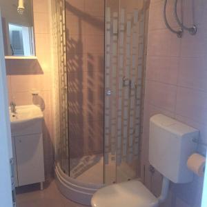 a bathroom with a shower with a toilet and a sink at Apartments Lile in Živogošće