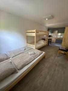 1 dormitorio con 1 cama grande y escritorio en Sausfork Valachy en Rusava