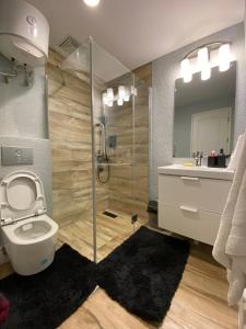 a bathroom with a shower and a toilet and a sink at Apartment X Palm Village Mikocheni in Dar es Salaam