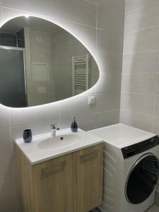 ein Badezimmer mit einem Waschbecken und einer Waschmaschine in der Unterkunft Marcopolo Luxury Appartement in Bischheim