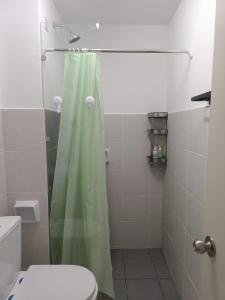 a bathroom with a green shower curtain and a toilet at Qilayna guest room in Sepang