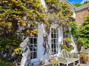 a house with a statue and a tree with purple flowers at Powdermills Country House Hotel in Battle