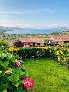Φωτογραφία από το άλμπουμ του Ginevra SurfHouse σε Palau