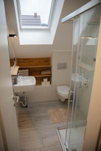 ein Badezimmer mit einem Dachfenster, einem Waschbecken und einem WC in der Unterkunft ALPEART HOLIDAY units in Bohinj