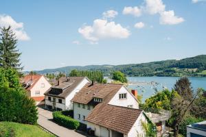 a row of houses on a hill next to a lake at Ferienwohnung Menzer am See in Öhningen