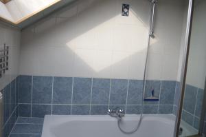 Koupelna v ubytování Gîte du Curnolo 3* pour 4/6pers avec spa, piscine