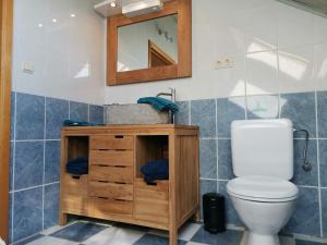 Koupelna v ubytování Gîte du Curnolo 3* pour 4/6pers avec spa, piscine
