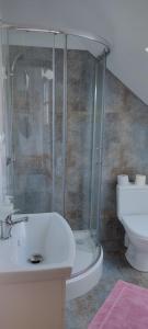 a bathroom with a shower and a sink and a toilet at Niedźwiedziówka in Mrągowo +15 photos