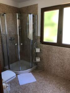 ein Bad mit einer Dusche, einem WC und einem Fenster in der Unterkunft La fuenta in Málaga