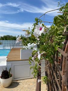 Casa Lavadeira - VINHAS de NEXE في فارو: حديقة بها زهور على كونتر بجوار حمام سباحة