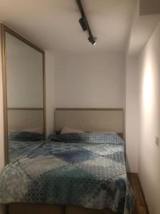 伊斯坦堡的住宿－Furnished Apartment for rent，一间卧室配有一张床和一面大镜子