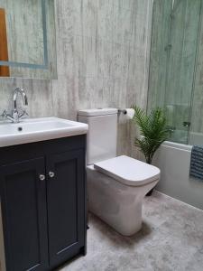 a bathroom with a toilet and a sink and a plant at Shunters Cottage in Darnick
