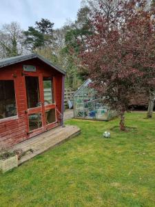 una pequeña casa con un invernadero junto a un árbol en Shunters Cottage en Darnick