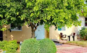 ein Haus mit einer blauen Tür und einem Baum in der Unterkunft QB Elegant Villa with Valley View in Rawalpindi