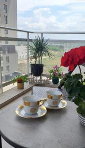 ブカレストにあるSUNSHINE - New & Quiet 1BR Apt, Business area, close to Airport, Highway A3, Subwayの- バルコニーのテーブルにカップ2つとソーサー
