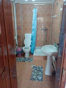 a bathroom with a toilet and a sink at Casa Ilinca in Filioara