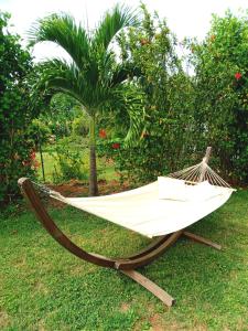 a hammock sitting in the grass next to a palm tree at Chez Mélanie in Sainte-Rose
