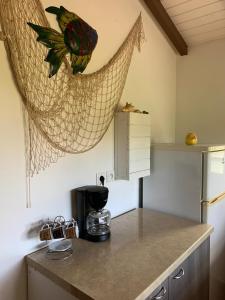 a kitchen with a counter with a bird on the wall at Chez Mélanie in Sainte-Rose
