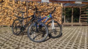 ドーベルにあるWaldhorn Dobelの木の山の前に停められた自転車2台