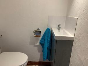 a bathroom with a white sink and a blue towel at Grand Studio proche mer avec piscine. in Antibes