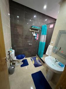 La salle de bains est pourvue de toilettes, d'un lavabo et d'une douche. dans l'établissement Tajhiz alliance darna, à Kenitra