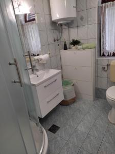 uma pequena casa de banho com lavatório e WC em Apartman Iva - Vantačići em Vantacići