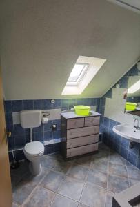 bagno con servizi igienici, lavandino e lucernario. di Beni Haus a Balatongyörök