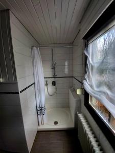 ein kleines Bad mit Dusche und Duschvorhang in der Unterkunft Ferienwohnung Theresa in Bad Schonborn