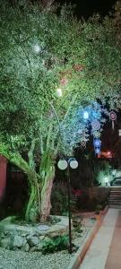 a large tree with lots of lights on it at California Apart Otel in Oludeniz +173 photos