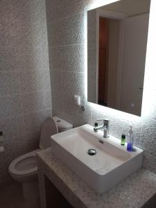バトシにあるElina Apartmentsのバスルーム(洗面台、トイレ、鏡付)