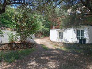 una casa blanca con una pared de piedra y un árbol en Berbi Rosse, en Oletta