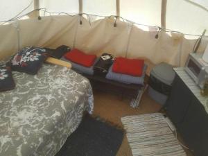 a tent with a bed and a tv in it at Hawk's View Tipi at Higher Hawksland Farm in Saint Issey