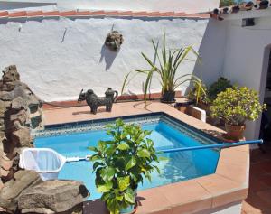 a swimming pool with a poodle statue in a yard at Casa Muryo in Jimena de la Frontera