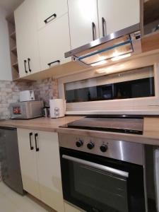Küche/Küchenzeile in der Unterkunft JM Apartman