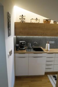 Kuchyňa alebo kuchynka v ubytovaní Apartmán AURIS