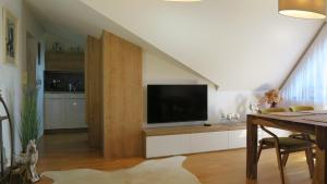 Televízia a/alebo spoločenská miestnosť v ubytovaní Apartmán AURIS